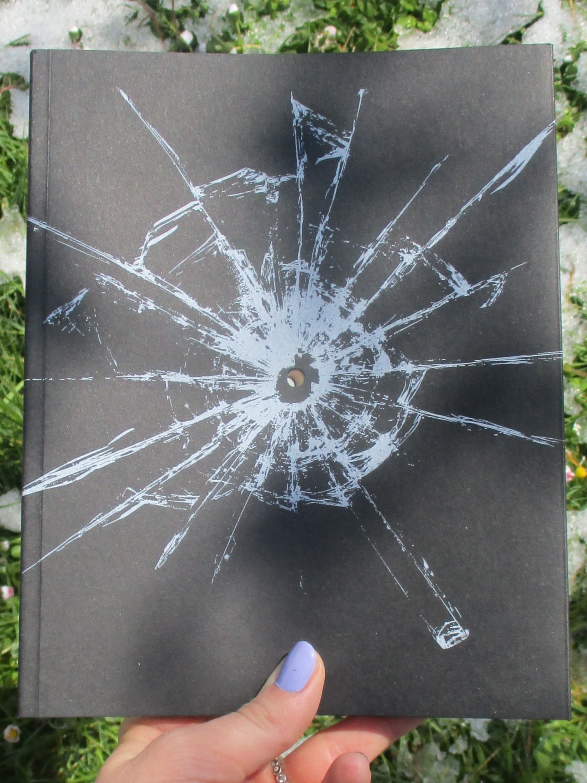 Naslovnica: Metka u glavo